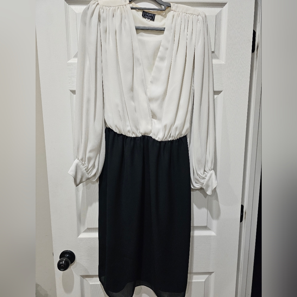 Cachet by Bari Protas Dress